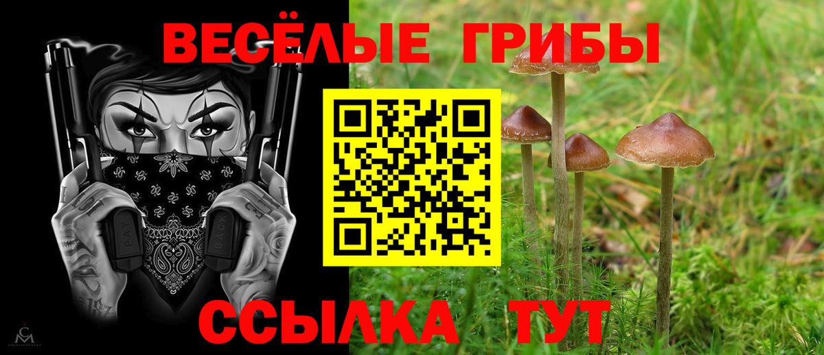 Галлюциногенные грибы Magic Shrooms Миасс