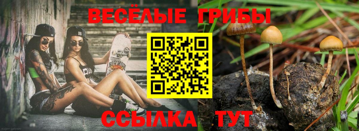 Галлюциногенные грибы Psilocybe  Вход с VPN  Галлюциногенные грибы прущие грибы  Миасс 